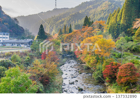 豐田市大平公園的紅葉和名倉川的風景（愛知縣） 137332890