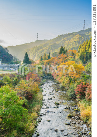 豐田市大平公園的紅葉和名倉川的風景(愛知縣) 豐田市大平公園的紅葉和名倉川的風景(愛知縣) 137332891
