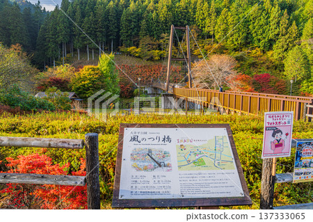 The Wind Suspension Bridge and autumn leaves at Oihira Park in Toyota City (Aichi Prefecture) The Wind Suspension Bridge and autumn leaves at Oihira Park in Toyota City (Aichi Prefecture) 137333065