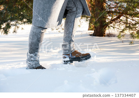 Close up of legs in warm boots walking through deep snow on a sunny winter day. Person wearing grey jeans steps into a snowdrift near a pine tree in the forest. High quality photo 137334407