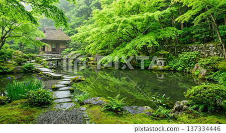 日本庭園池塘和茶室，四周環繞著翠綠的楓葉。 137334446