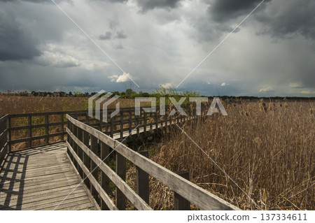 Paths along Narew National Park. Cloudy day. Paths along Narew National Park. Cloudy day. 137334611