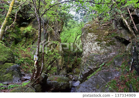Gorge area of Bonomine, Saitama Prefecture Gorge area of Bonomine, Saitama Prefecture 137334909