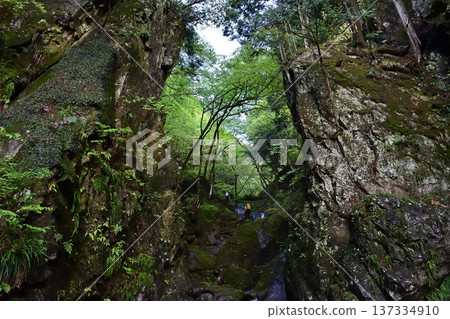 埼玉縣博諾米內峽谷地區 137334910