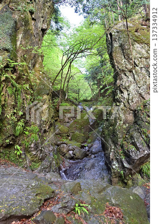 埼玉縣博諾米內峽谷地區 137334912