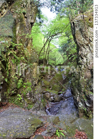 埼玉縣博諾米內峽谷地區 埼玉縣博諾米內峽谷地區 137334913