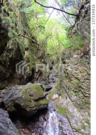 埼玉縣博諾米內峽谷地區 埼玉縣博諾米內峽谷地區 137334916