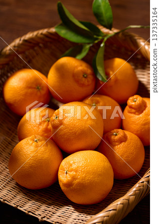 籃子裡的德科蓬 籃子裡的德科蓬 137335164