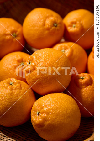 籃子裡的德科蓬 137335166