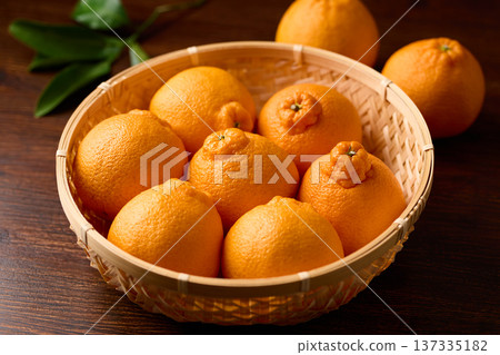 籃子裡的德科蓬 137335182