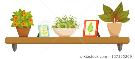 Wooden shelf with green decoration. Home floral botany Wooden shelf with green decoration. Home floral botany 137335269