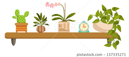 Greenery home decoration. House botany on wooden shelf 137335271