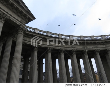 The colonnade of the Kazan Cathedral with ornate architectural details in St. Petersburg. View of the Kazan Cathedral and the sky with pigeons from a low angle, St. Petersburg, Russia. 137335340