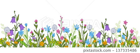 Hand drawn wildflowers border isolated on white Hand drawn wildflowers border isolated on white 137335486