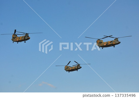 自衛隊軍用直升機在藍天中編隊飛行 自衛隊軍用直升機在藍天中編隊飛行 137335496