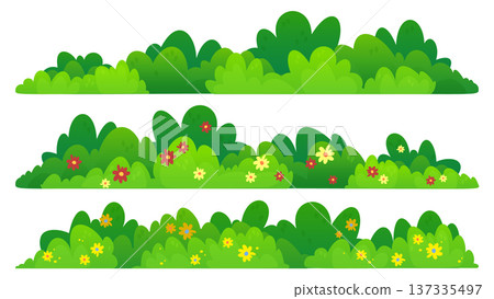 Green bush border with flowers, landscape shrub 137335497