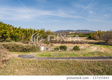 Riverbed scenery on the left bank of the Kizu River, Kyotanabe City, Kyoto Prefecture Riverbed scenery on the left bank of the Kizu River, Kyotanabe City, Kyoto Prefecture 137335643