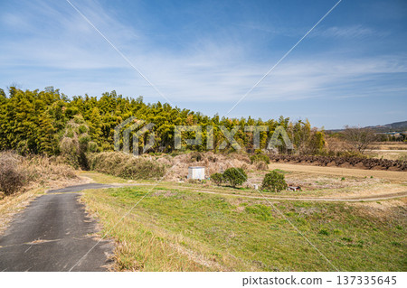 京都府京田邊市木津川左岸的河床景色 137335645