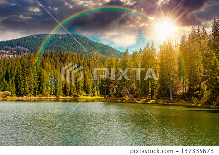 sunset over mountain lake among the green spruce forest in beautiful spring landscape. rippled water surface. scenic alpine nature scenery with rainbow and some clouds on sky over the evergreen woods 137335673