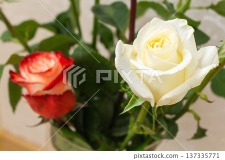 White,red roses with lily buds in glass vase. Elegant mixed flower bouquet. Fresh cut flowers arrangement for home decor White,red roses with lily buds in glass vase. Elegant mixed flower bouquet. Fresh cut flowers arrangement for home decor 137335771