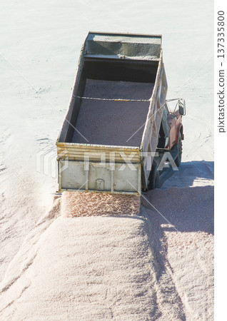 Trucks unloading raw salt bulk, Salinas Grandes de Hidalgo, La Pampa, Argentina. Trucks unloading raw salt bulk, Salinas Grandes de Hidalgo, La Pampa, Argentina. 137335800
