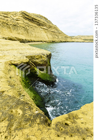 Coastal landscape with cliffs in Peninsula Valdes, World Heritage Site, Patagonia Argentina 137336135
