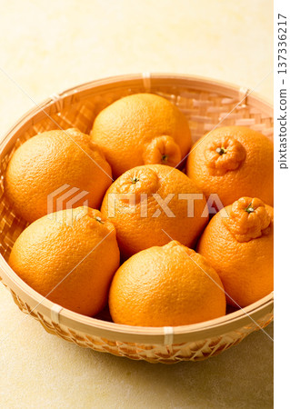 籃子裡的德科蓬 籃子裡的德科蓬 137336217