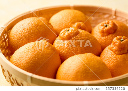 籃子裡的德科蓬 137336220