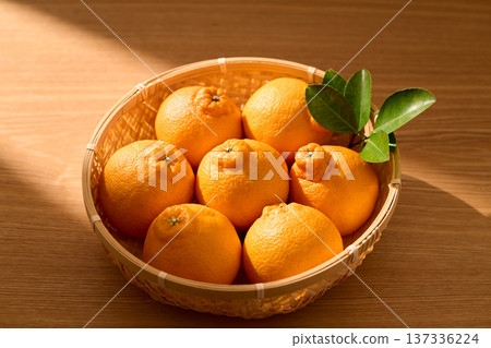 籃子裡的德科蓬 137336224