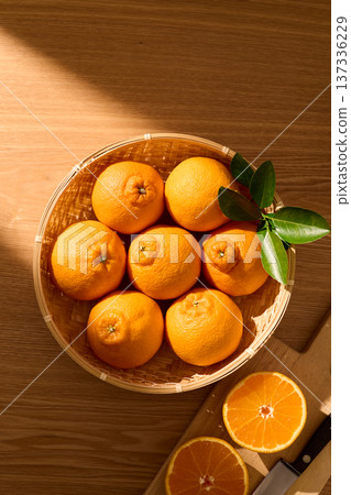 籃子裡的德科蓬 籃子裡的德科蓬 137336229