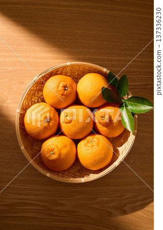 籃子裡的德科蓬 137336230