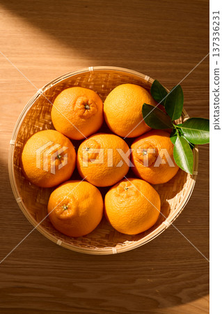 籃子裡的德科蓬 137336231