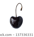 Dark cherry isolated on white background 137336331