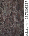 Natural metamorphic stone surface as background 137336337