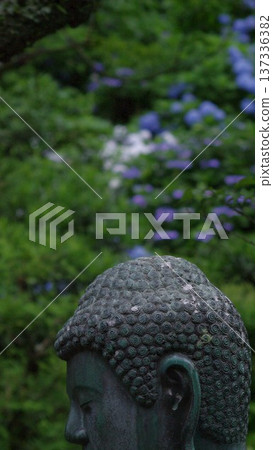 佛像、繡球花、寺廟、花園壁紙 佛像、繡球花、寺廟、花園壁紙 137336382