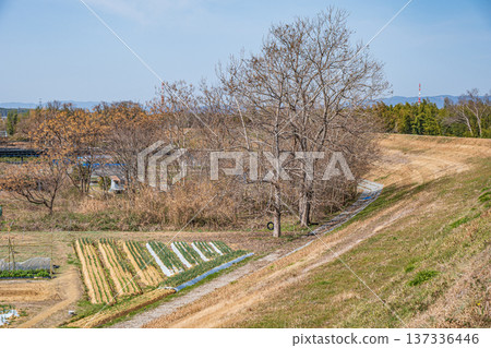 京都府京田邊市春季鄉村景色 京都府京田邊市春季鄉村景色 137336446