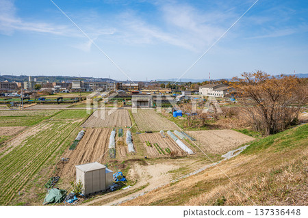 京都府京田邊市春季鄉村景色 137336448