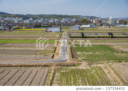 京都府京田邊市春季鄉村景色 京都府京田邊市春季鄉村景色 137336452