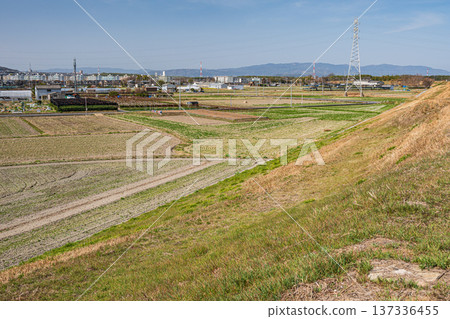 京都府京田邊市春季鄉村景色 137336455
