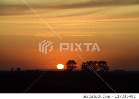 Rural sunset landscape, Buenos Aires province , Argentina 137336498