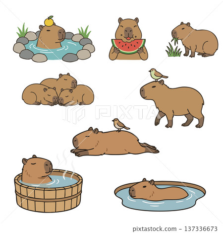 一群可愛的水豚在溫泉裡放鬆地吃西瓜 137336673