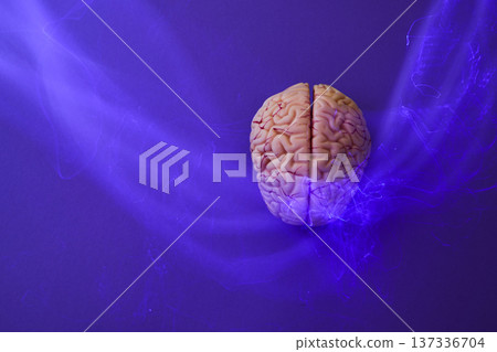 Human brain model with glowing neural pathways 137336704