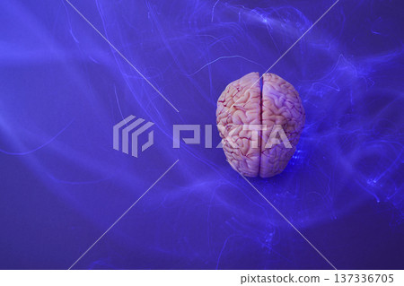 Brain model generating neural impulses on blue background Brain model generating neural impulses on blue background 137336705