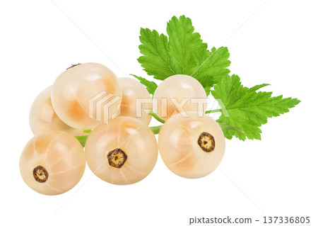 white or yellow currant isolated on white background with full depth of field 137336805