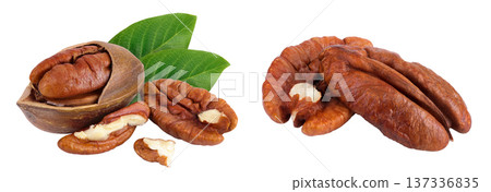 broken pecan nut isolated on white background with full depth of field 137336835