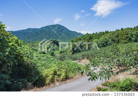 View of the foot of Mount Kakuta in Niigata View of the foot of Mount Kakuta in Niigata 137336883