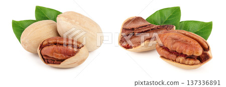 Three pecan nuts isolated on white background 137336891