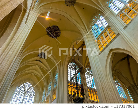Stunning interior view of the gothic cathedral in Leuven, Belgium from below Stunning interior view of the gothic cathedral in Leuven, Belgium from below 137337001