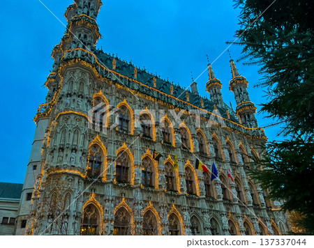 Historical european cityscape in Leuven, Belgium with flags and banners Historical european cityscape in Leuven, Belgium with flags and banners 137337044