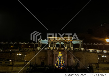Facade of the Varkert Bazar at night, with illuminated Christmas tree in front Facade of the Varkert Bazar at night, with illuminated Christmas tree in front 137337074